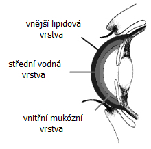 Slzný film